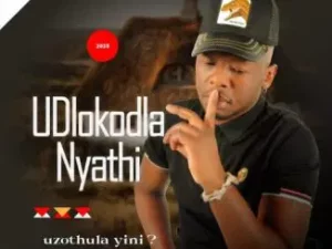 Dlokodla Nyathi Uzothula Yini Mp3 Download