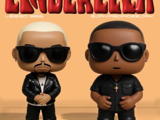 Lesgo 966 Cinderella SummerDaze 3 Step Mix Mp3 Download