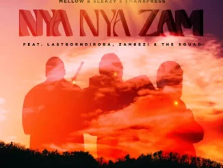 Mellow & Sleazy Nya Nya Zam Mp3 Download