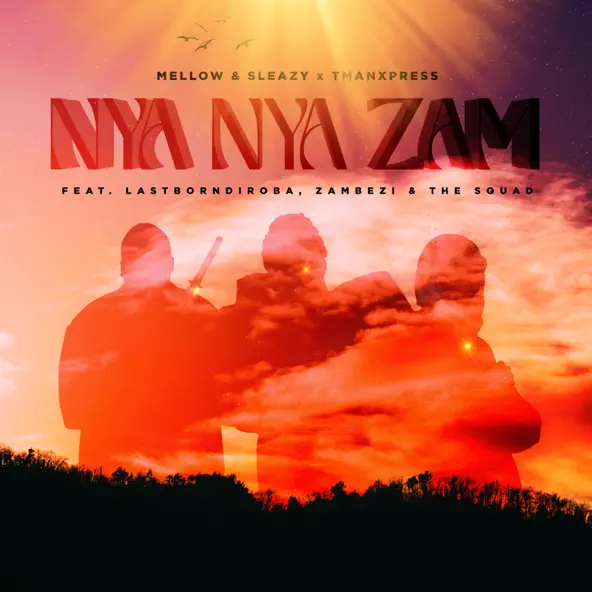 Mellow & Sleazy Nya Nya Zam Mp3 Download