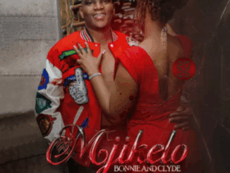 Mjikelo Bonnie And Clyde Album Download