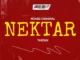 Njabz General Nektar Mp3 Download