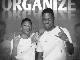 Play & Power Organize Mp3 Download