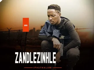 Sabelo Zandlezinhle ABASXOLELE Mp3 Download