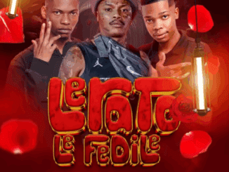 Shebeshxt Lerato Le Fedile Mp3 Download