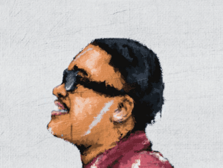 Unlimited Soul Wave Mp3 Download