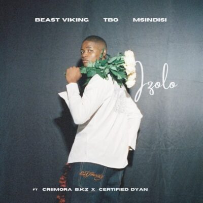 Beast Viking Izolo Mp3 Download