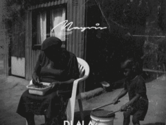 Dlala Thukzin Drums Mp3 Download