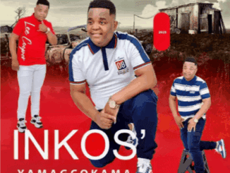 Inkos’yamagcokama Sithwele Kabi Mp3 Download