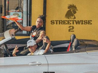 Majorsteeze The Honour Mp3 Download