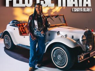 Pabi Cooper Pelo Tse Thata Mp3 Download