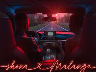Piano City Shona Malanga Mp3 Download