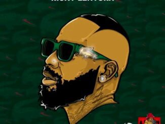Ricky Lenyora Sthombe Esihle Remix Mp3 Download