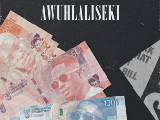 Shane907 Awuhlaliseki Mp3 Download