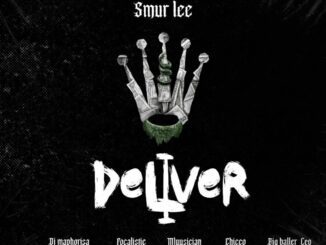 Smur Lee Deliver Mp3 Download