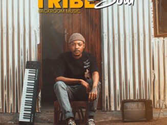 TribeSoul Midnight Express Mp3 Download