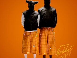 2woBunnies Yini Mp3 Download