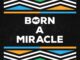 GoldFish Born A Miracle Mp3 Download