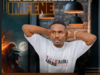 Imfezemnyama Izinkinga Mp3 Download