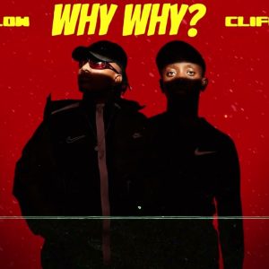Kaycherlow NLL Why Why Mp3 Download