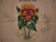 Mdoovar Imizwa Yam Mp3 Download