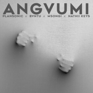 Plansonic Angvumi Mp3 Download