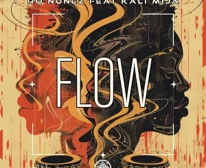 Ro Nunez Flow Deep instrumental Mp3 Download