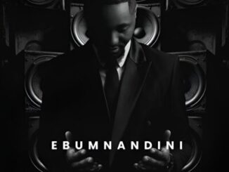Shaun Stylist Izandla Phezulu Mp3 Download