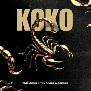TNK MusiQ Koko Mp3 Download