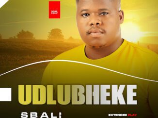 Udlubheke Senzeni Mp3 Download