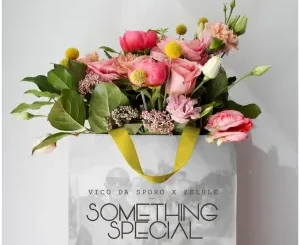 Vico Da Sporo Something Special Mp3 Download
