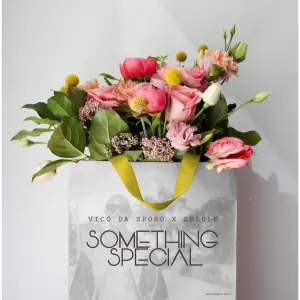 Vico Da Sporo Something Special Mp3 Download