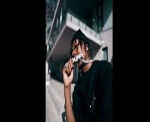 Xduppy Ubomi Abumanga Remix Mp3 Download