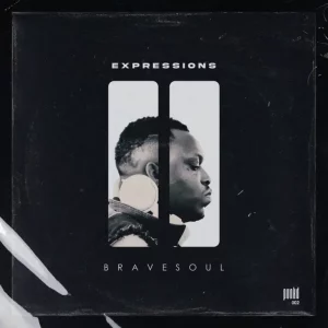 BraveSoul Magnificent Chaos Mp3 Download