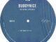 Buddynice Nothing Special Mp3 Download