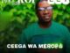 Ceega Meropa 227 (We Love Mzansi House) Mp3 Download