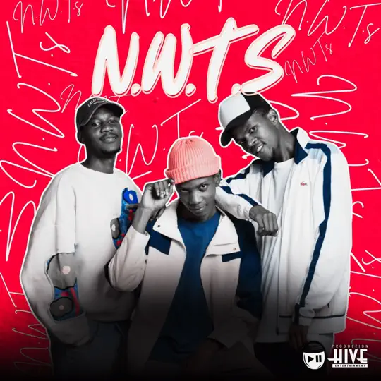 Cue And Play Izinja Zamjebhula N.W.T.S Album Download