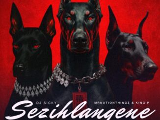 DJ Sicky Sezihlangene Mp3 Download