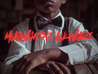DrummeRTee924 Mugwanthi Nkwari Mp3 Download