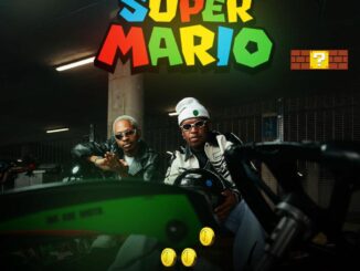 Ice Beats Slide Super Mario Mp3 Download