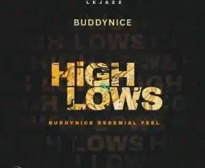 LeJazz Highs & Lows Buddynice Revisit Mp3 Download
