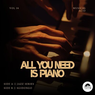 Musical Acid All You Need Is Piano 014 Mp3 Download