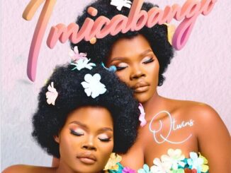Q Twins Imicabango Album Download