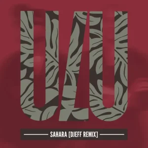 Robin M Sahara (DJEFF Remix) Mp3 Download