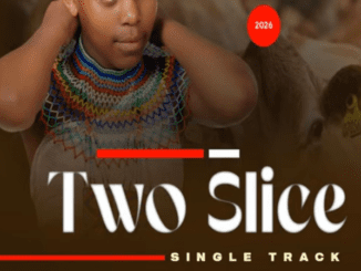 Two Slice Ulele Mp3 Download