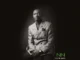 Vico Da Sporo Sonini Mp3 Download