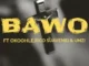 Virtousouls Bawo Mp3 Download