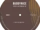 Buddynice Static Between Us Mp3 Download
