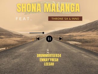 DrummeRTee924 Shona Malanga Mp3 Download