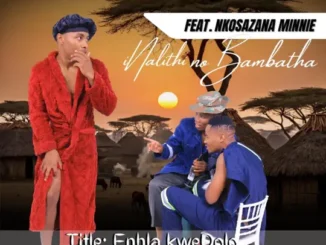 Inalithi Enhla Kwedolo Mp3 Download